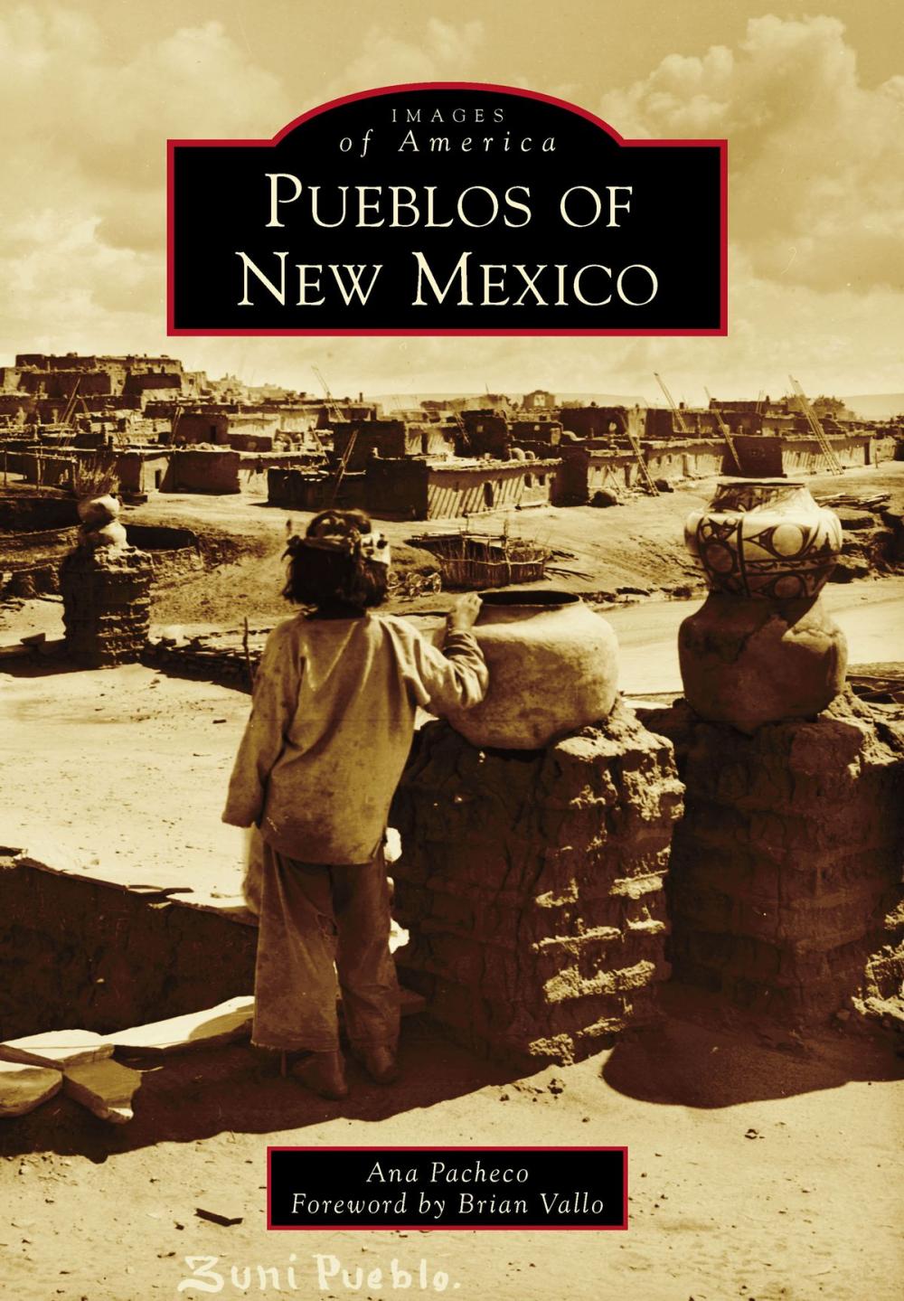 Big bigCover of Pueblos of New Mexico