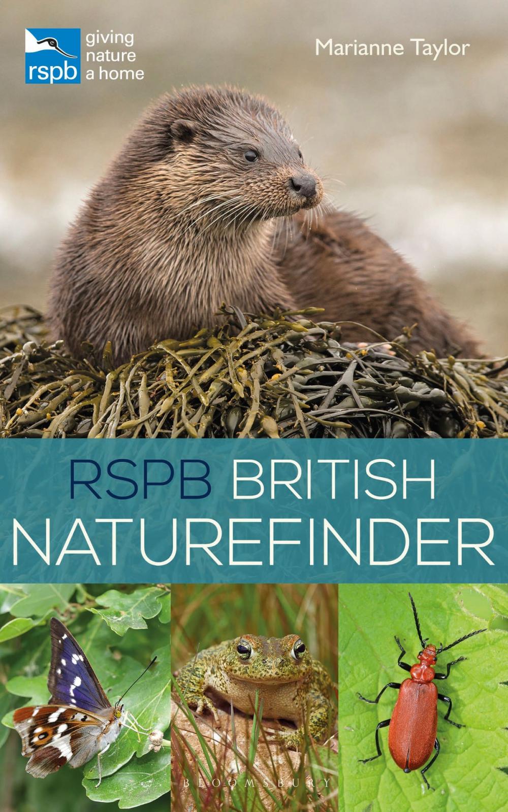 Big bigCover of RSPB British Naturefinder
