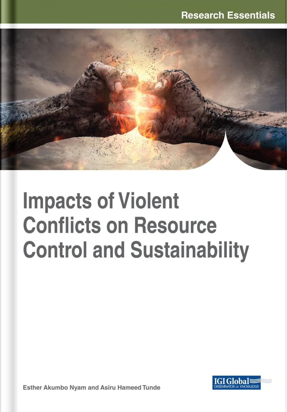 Big bigCover of Impacts of Violent Conflicts on Resource Control and Sustainability