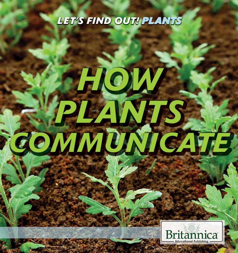 Big bigCover of How Plants Communicate