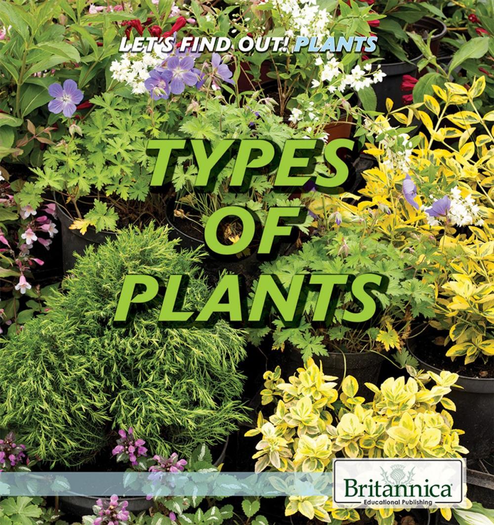 Big bigCover of Types of Plants