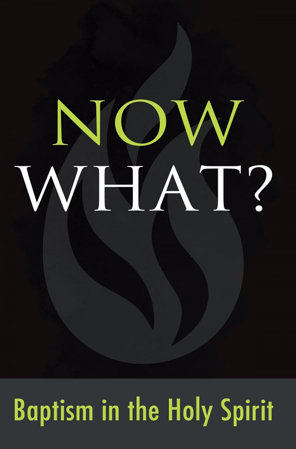 Big bigCover of Now What? Baptism in the Holy Spirit