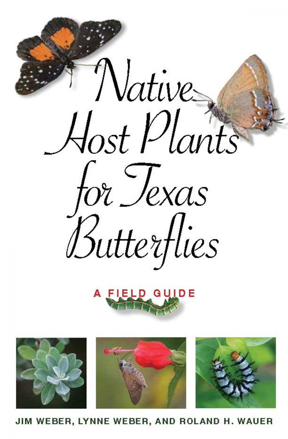 Big bigCover of Native Host Plants for Texas Butterflies