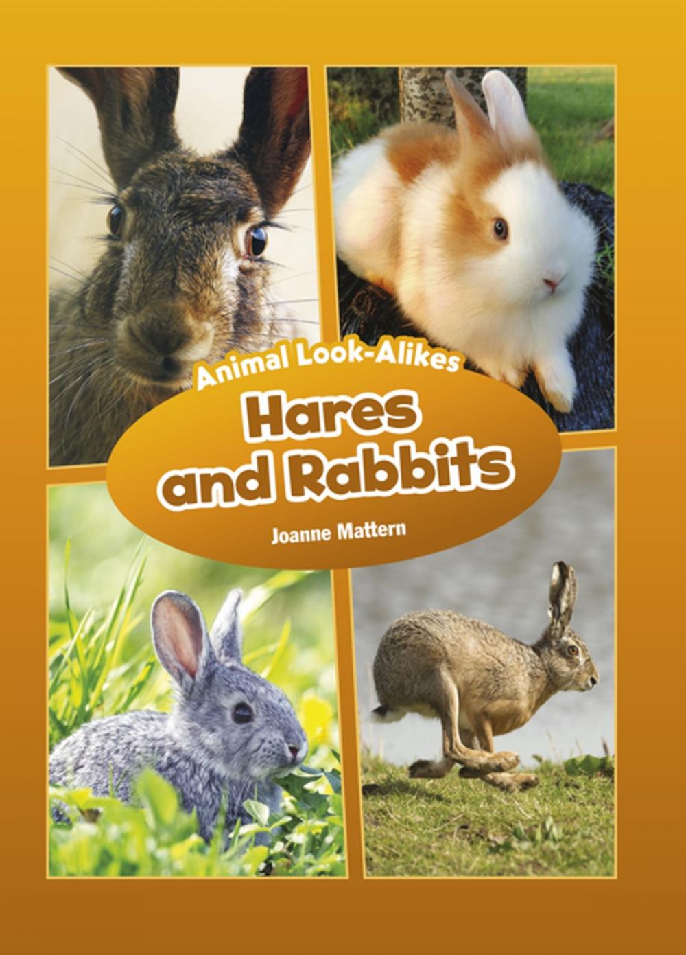 Big bigCover of Hares and Rabbits