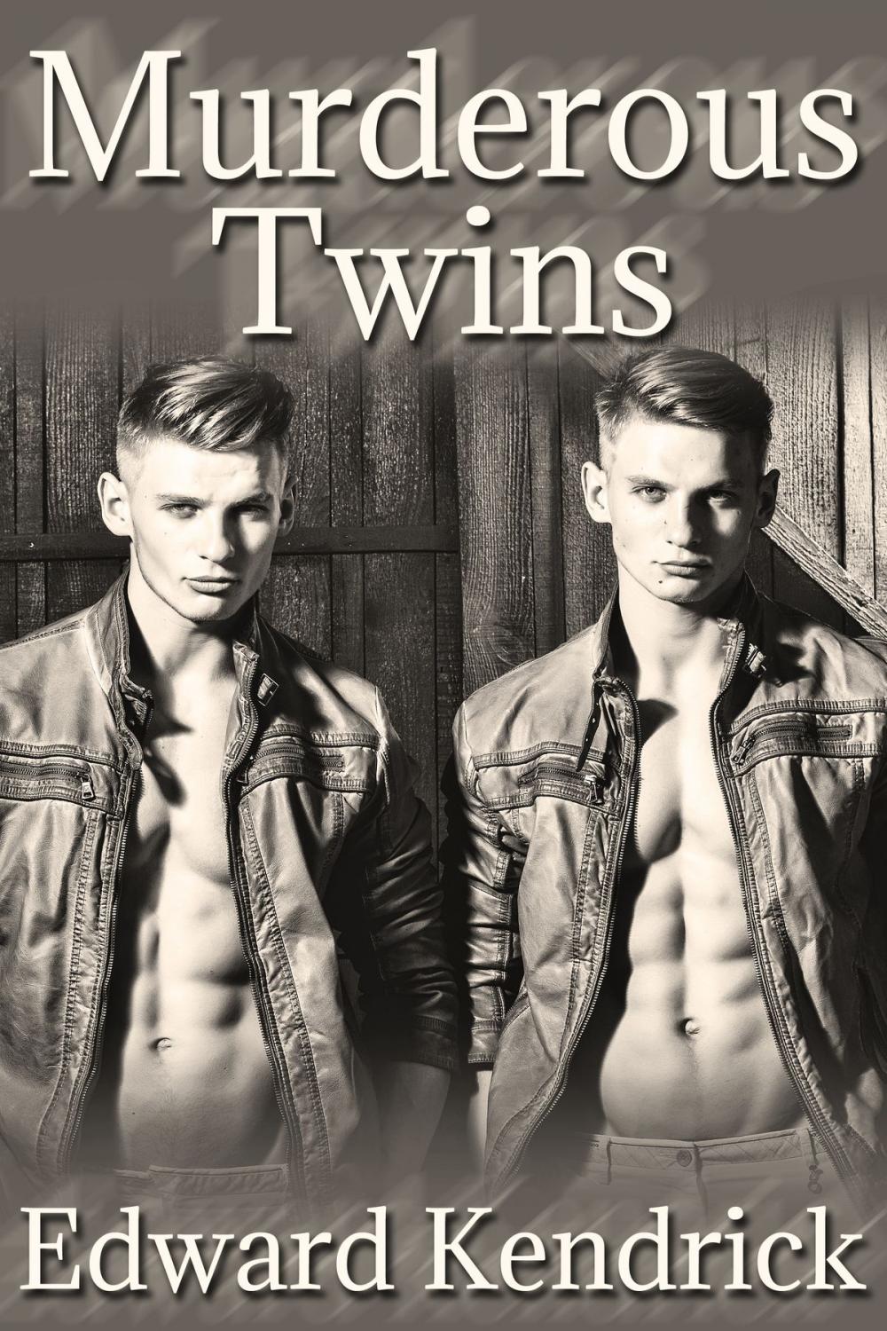 Big bigCover of Murderous Twins