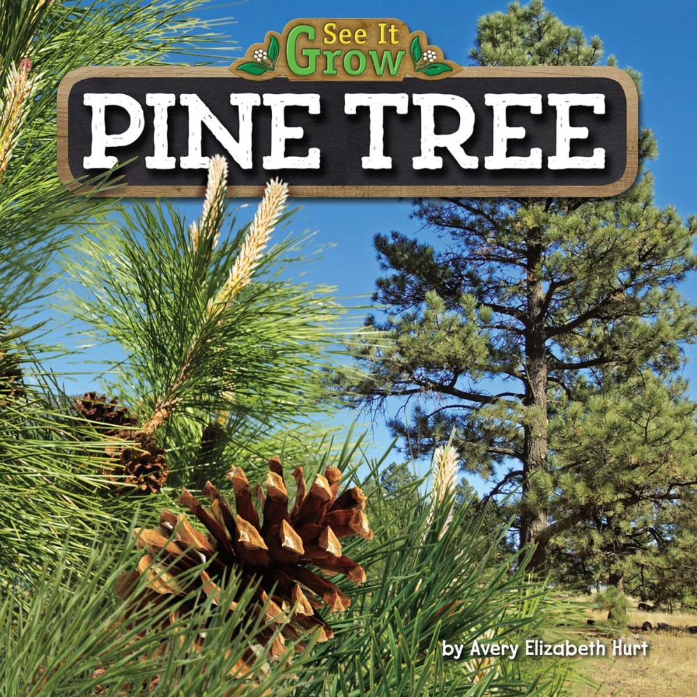 Big bigCover of Pine Tree