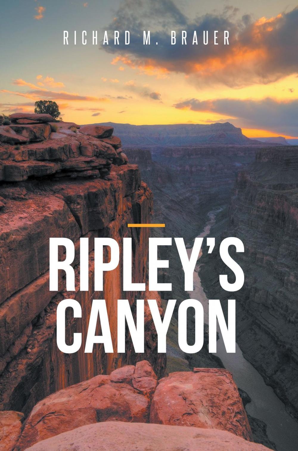Big bigCover of Ripley's Canyon