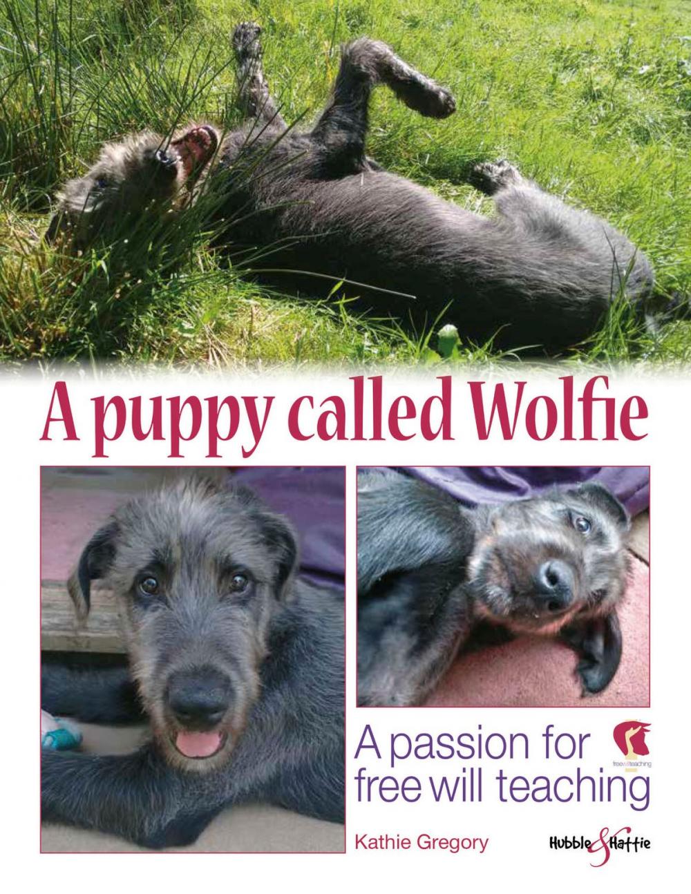 Big bigCover of A puppy called Wolfie