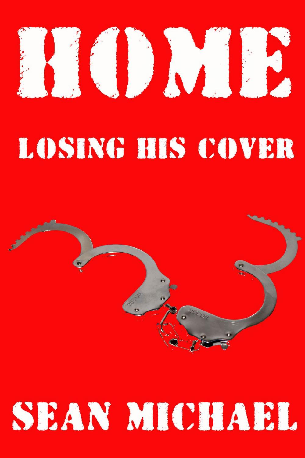 Big bigCover of Home