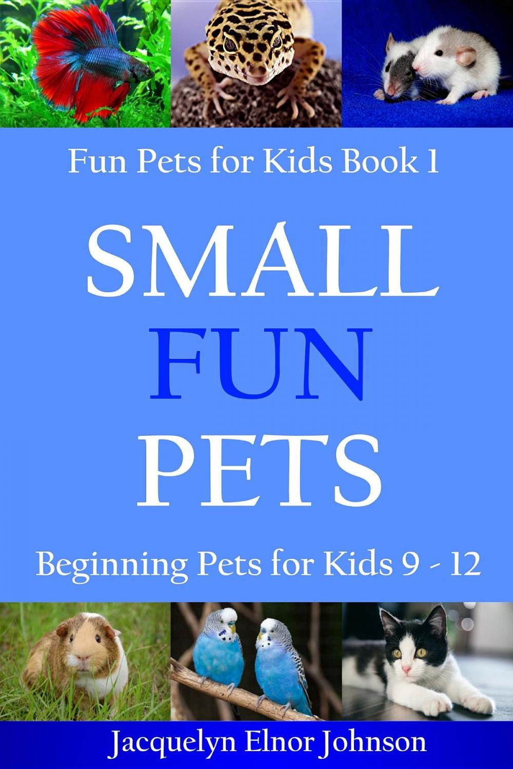 Big bigCover of Small Fun Pets