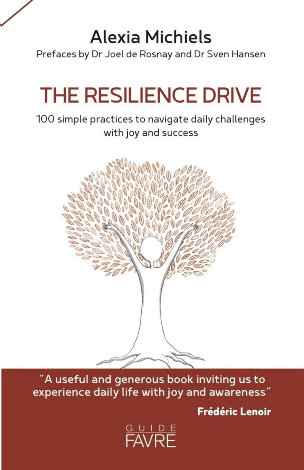 Big bigCover of The resilience drive