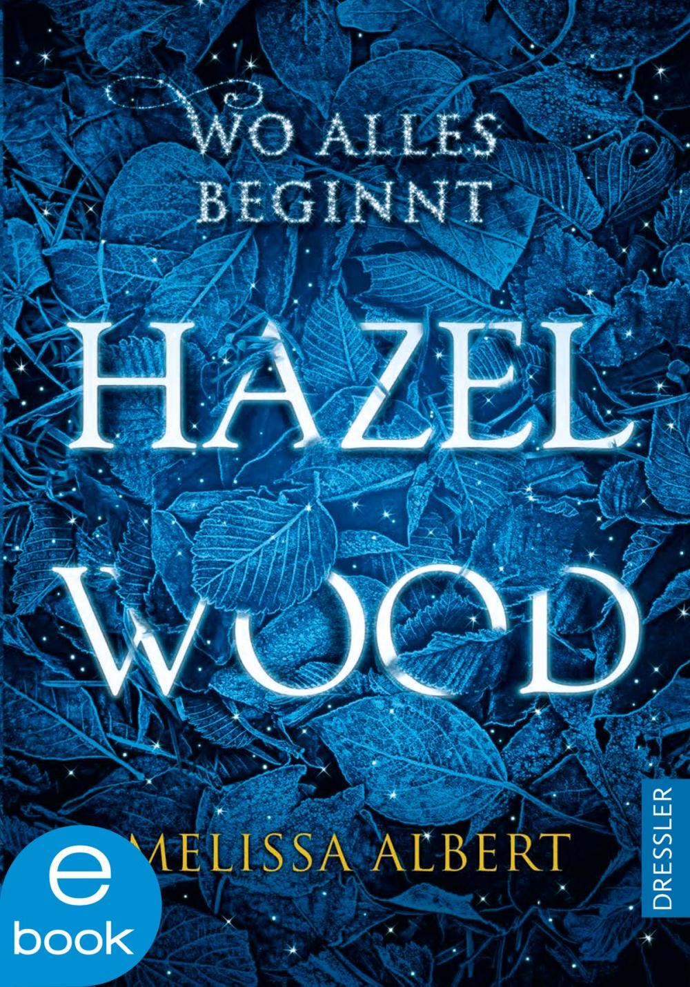 Big bigCover of Hazel Wood