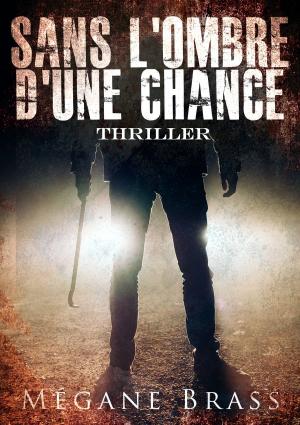 Cover of the book Sans l'ombre d'une chance by Robert McDowell