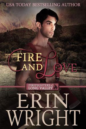 Cover of the book Fire and Love by Erin Wright, Suzie O'Connell, Lisa Mondello, Ann B. Harrison, Shirleen Davies, Jean Brashear, SJ McCoy, Stacey Joy Netzel