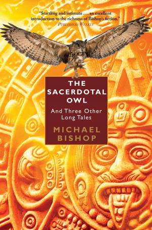 Book cover of The Sacerdotal Owl and Three Other Long Tales