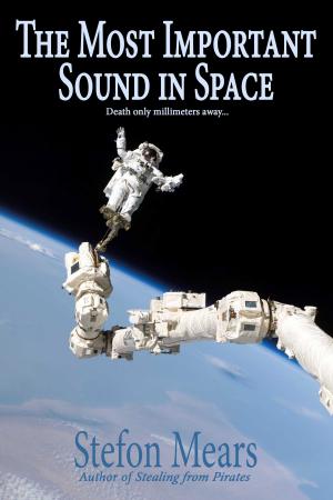 Cover of the book The Most Important Sound in Space by Nigel G. Mitchell