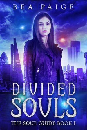 Book cover of Divided Souls