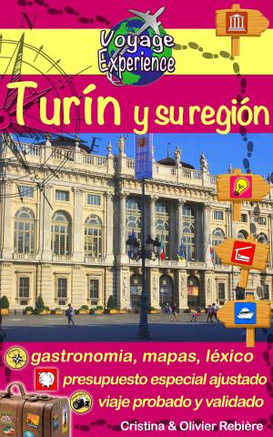 Book cover of Turín y su región