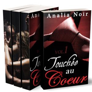 Cover of the book Touchée Au Cœur (L'Intégrale) by N. Michaels
