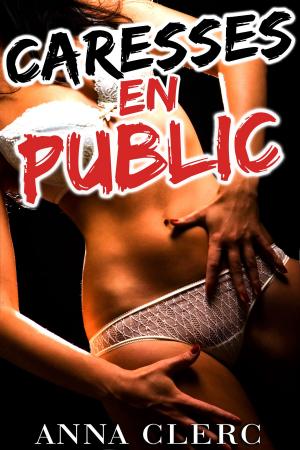 Cover of the book Caresses En Public by Ariel Storm