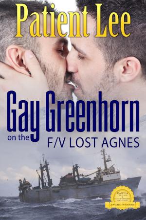 Cover of the book Gay Greenhorn on the F/V Lost Agnes by Jessica Mandella