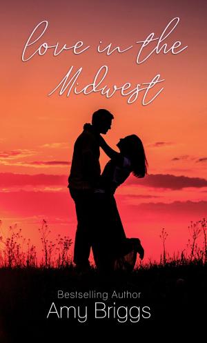 Book cover of Love in the Midwest