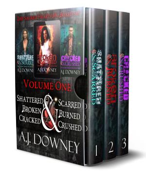 bigCover of the book The Sacred Hearts MC Box Set Volume 1 by 