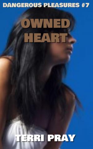 bigCover of the book Owned Heart by 