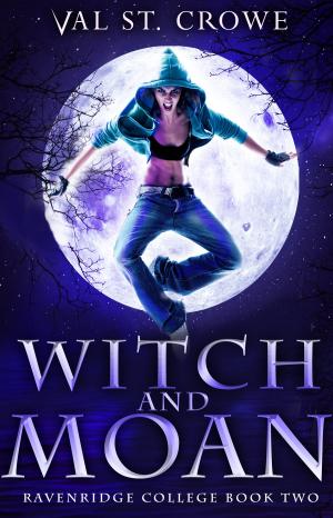 Cover of the book Witch and Moan by Sidonie Spice