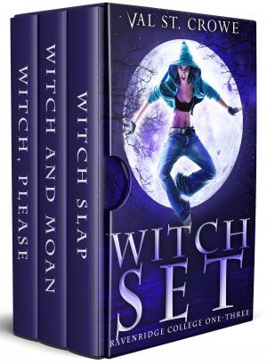 Cover of the book Witch Set by Sierra Luke