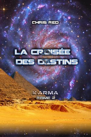 Cover of the book La croisée des Destins by Paul D.E. Mitchell