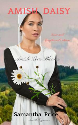 Cover of the book Amish Daisy by Listra Wilde