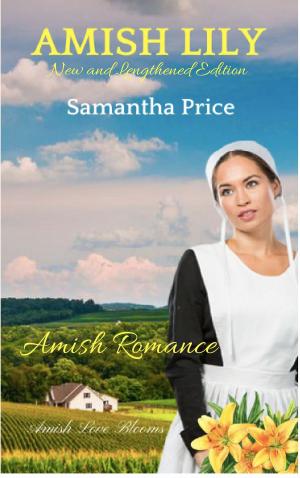 Book cover of Amish Lily