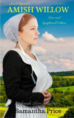 Book cover of Amish Willow