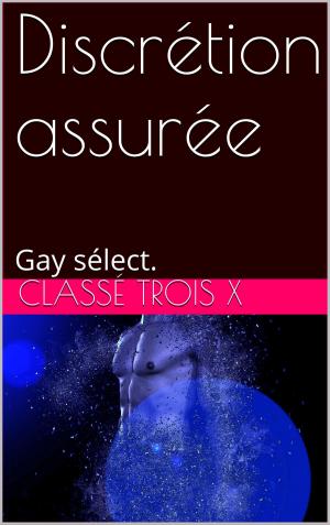 Cover of the book Discrétion assurée by Lina Langley