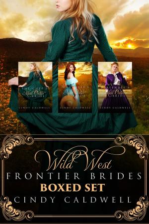 Book cover of Wild West Frontier Brides Boxed Set Vol 1