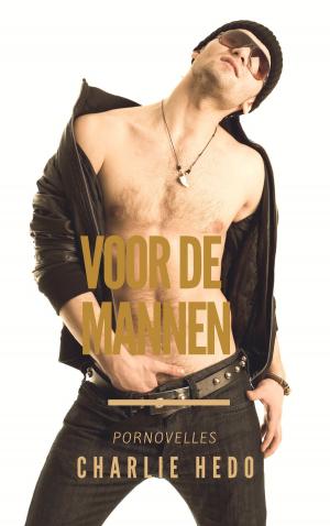 Cover of the book Voor de Mannen by Sylvia Dubois