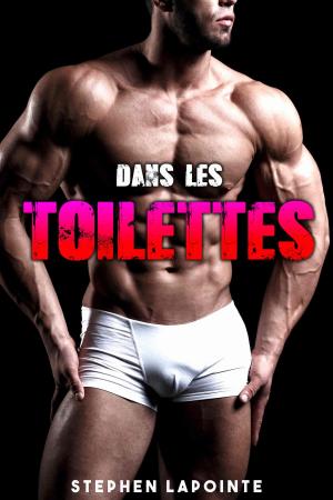 Book cover of Baise dans les Toilettes