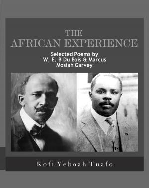 Cover of the book The African Experience by Layna Pimentel