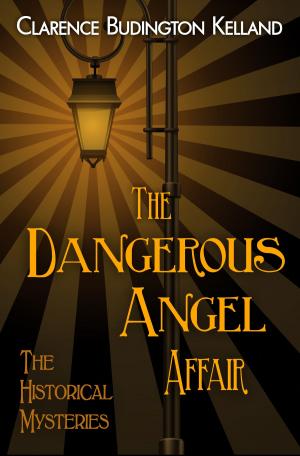 Book cover of The Dangerous Angel Affair