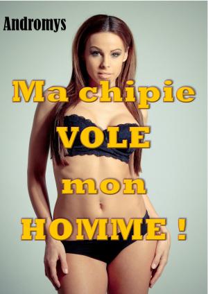 Cover of the book Ma chipie vole mon HOMME ! by Whitney Fox