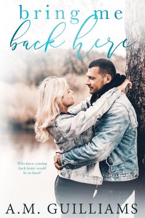 Cover of the book Bring Me Back Here by Karoline Barrett