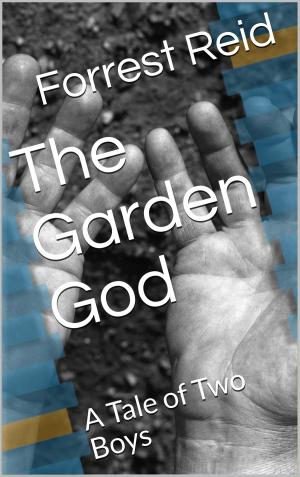 Cover of The Garden God