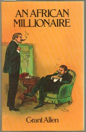 Book cover of An African Millionaire