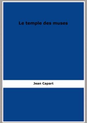 Cover of the book Le temple des muses by Antony Bluett