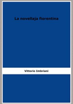 Cover of the book La novellaja fiorentina (1877) by Michel Zévaco