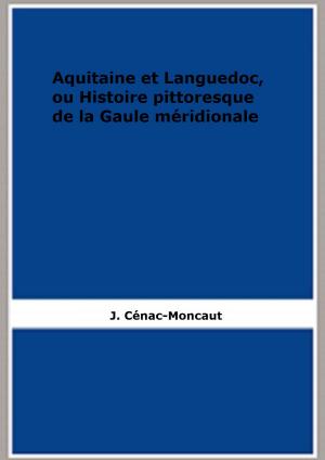 Cover of the book Aquitaine et Languedoc, ou Histoire pittoresque de la Gaule méridionale by Emmanuel Bove