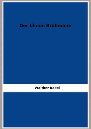 Cover of the book Der blinde Brahmane by J. Cénac-Moncaut