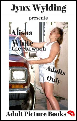 Book cover of Alishia White The Carwash