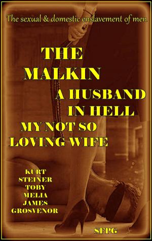 Cover of the book The Malkin - A Husband in Hell - My Not So Loving Wife by Sandrine Bessancort